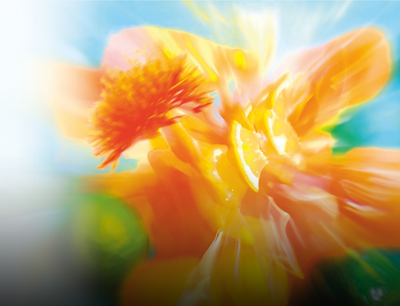 Good Energy emballage fleuri en jaune, orange et rouge.